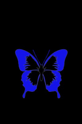 Butterfly, Minimalism, Black, Blue - Blue Butterfly Black Background ...