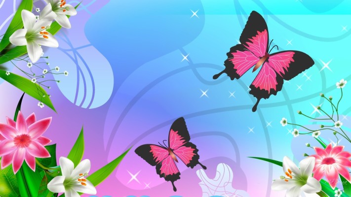 Butterfly Pattern - 1000x1080 Wallpaper Butterfly Pattern - 1000x1080 Wallpaper