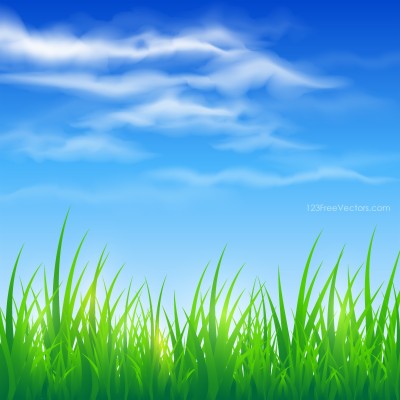 Picsart Green Grass Background - 800x800 Wallpaper 