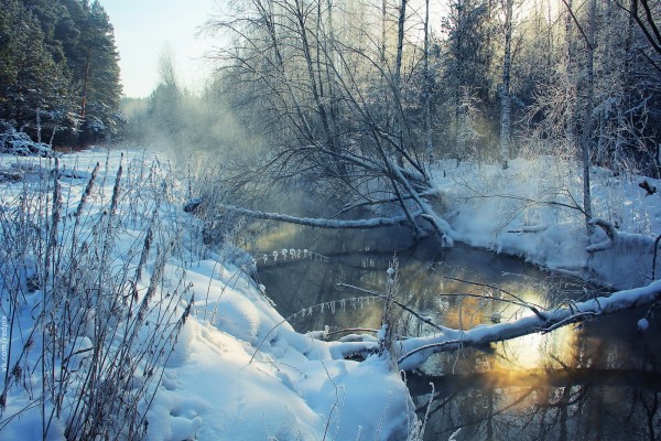 Wallpaper Winter, River, Snow, Coast, Hoarfrost, Landscape, - Winter ...