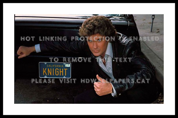 David Hasselhoff From Baywatch Knight Rider Autograph Photo My Xxx Hot Girl 7185