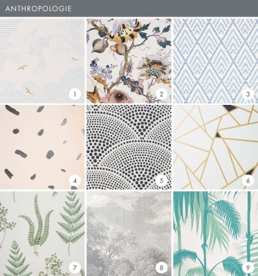 anthropologie background