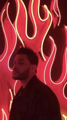 Wallpaper, Weeknd, And The Weeknd Image - Aesthetic Wallpaper The Weeknd -  720x1280 Wallpaper 