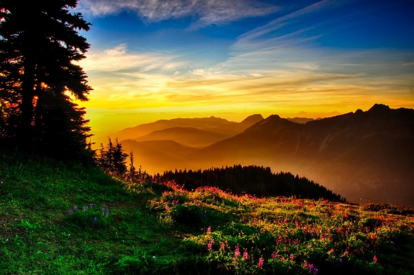 Nature Backgrounds Hd Wallpapers Mother Nature Windows - Beautiful ...