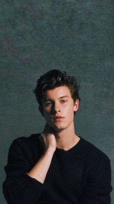 Shawn Mendes On Stage - 1591x2828 Wallpaper - teahub.io