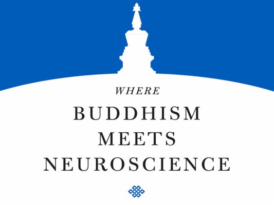 Where Buddhism Meets Neuroscience - Poster - 1024x768 Wallpaper - Teahub.io