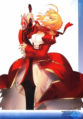 Fate Extra Nero Fate 4871x6980 Wallpaper Teahub Io