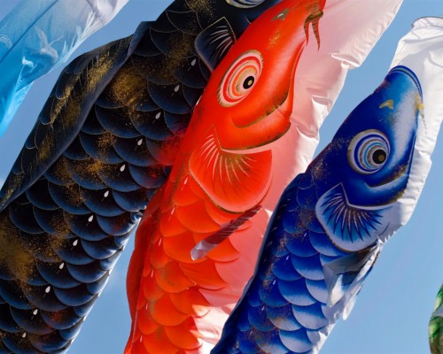 Koinobori - 1280x1024 Wallpaper - teahub.io