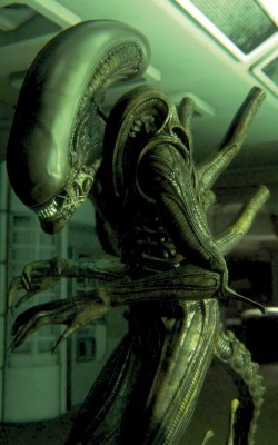 Alien Isolation Wallpaper 4k - 1920x1080 Wallpaper - teahub.io