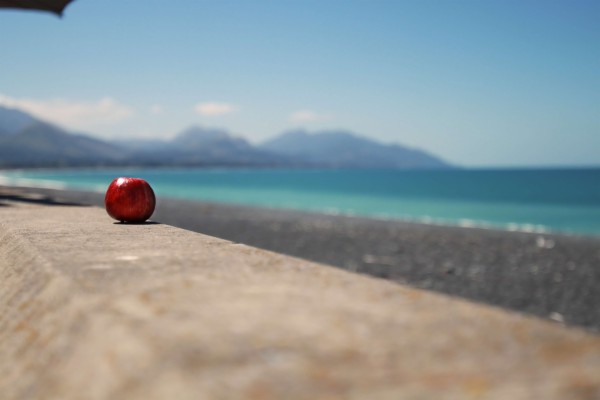 Apple Beach Wallpaper Creative - Beach Sea Wallpaper Hd - 1488x828 Wallpaper - teahub.io