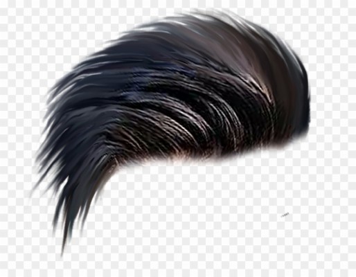 Hair Png Images - Hear Photo Background - 1456x1600 Wallpaper 