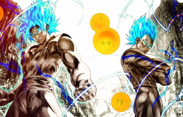 Dragon Ball Super Goku Vs Vegeta 2982x1769 Wallpaper 7945