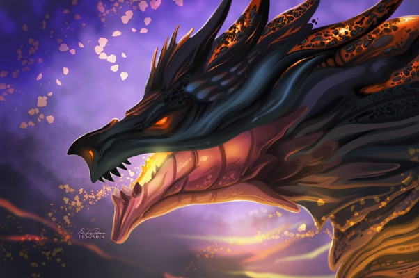 Dragon, Fantasy Creatures, Fire, Profile View - Cool Wallpapers For 