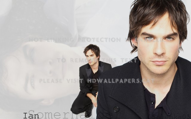 Ian Somerhalder Vampire Diaries Damon Actor - Damon Salvator - 1280x800 ...