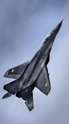 Mig 29 Polish 1080x1920 Wallpaper Teahub Io