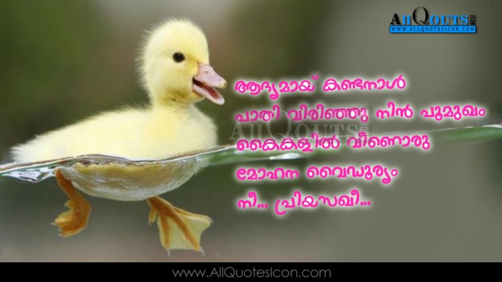 Love Quotes In Malayalam - 1320x1276 Wallpaper 