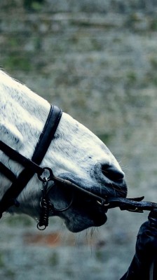 Tom Hardy Beard Taboo - 5184x3456 Wallpaper - teahub.io