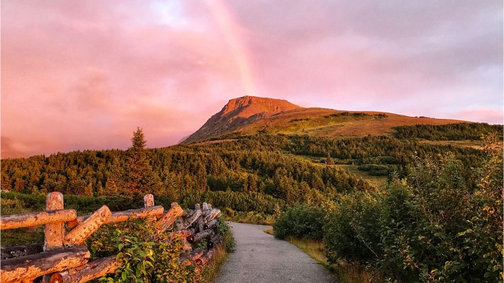 WHAT IS THE WEATHER LIKE IN ANCHORAGE ALASKA IN AUGUST visual data 2