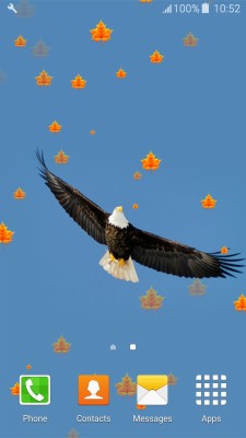 Eagle Live Wallpapers - Hình Nền Điện Thoại Đại Bàng  - HD Wallpaper