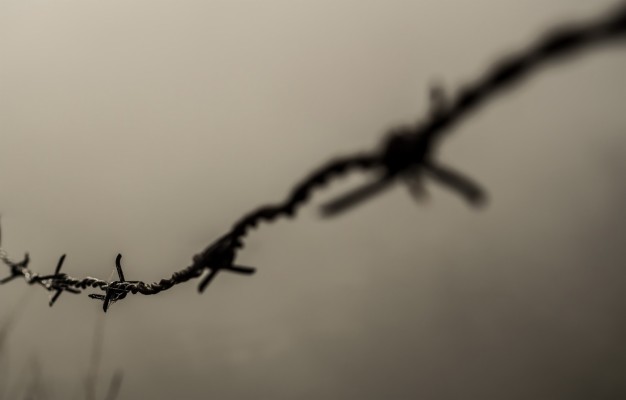 Barbed Wire - 5911x3326 Wallpaper - teahub.io