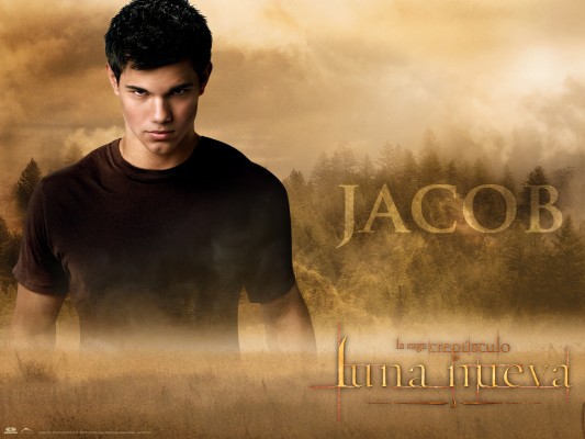 Taylor Lautner Twilight Poster - 1920x1080 Wallpaper - teahub.io