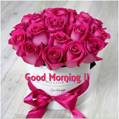 Good Morning Beautiful Rose Hd - Beautiful Wallpaper Good Mornings ...