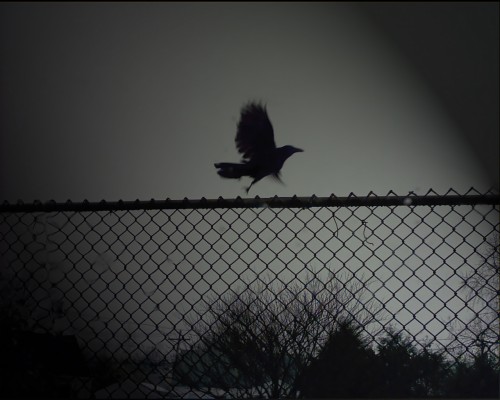 Full Hd Manga Test - Sad Bird In Dark - 1280x1024 Wallpaper Full Hd Manga Test - Sad Bird In Dark - 1280x1024 Wallpaper