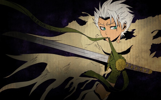 Kubo Tite Studio Pierrot Bleach Toshiro Hitsugaya Cartoon