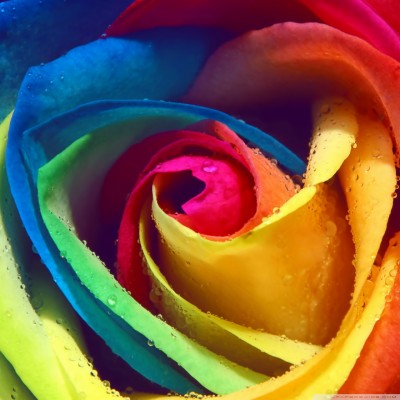 Rainbow Wallpapers For Android - 1280x1280 Wallpaper - teahub.io