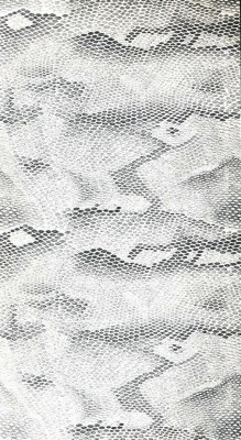 White Snake Print Background - 589x1073 Wallpaper - teahub.io