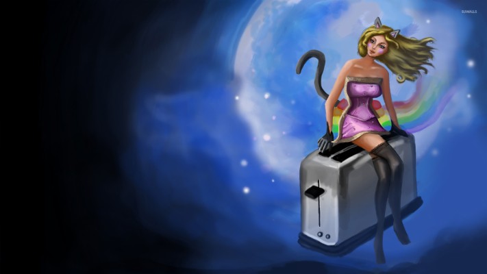 Woman Nyan Cat On A Toaster Wallpaper Data Src Nyan Ihascupquake Nyan Cat X