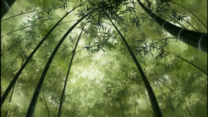 Mushishi Bamboo - 1366x768 Wallpaper - teahub.io