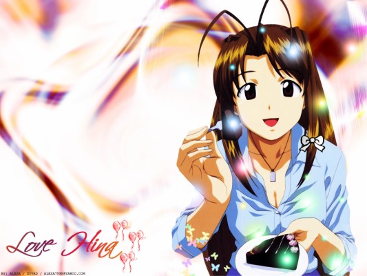 Ken Akamatsu, Love Hina, Naru Narusegawa Wallpaper - Love Hina Naru 