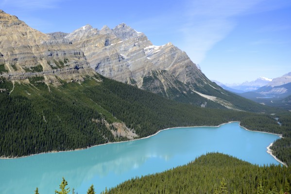 Peyto Lake - Banff - Peyto Lake - 6390x4264 Wallpaper - teahub.io