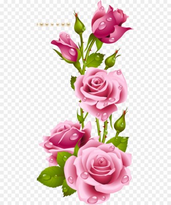 Wallpaper Bunga Mawar Merah - Three Rose Flower - 1435x1036 Wallpaper ...