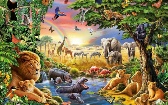 Cuatro Animales De La Selva Wallpapers - All Animals In Jungle - 1280x804  Wallpaper 