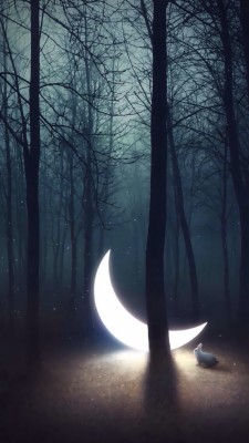 Moon, Tree, And Night Image - La Luna A Tus Pies - 640x1136 Wallpaper -  teahub.io