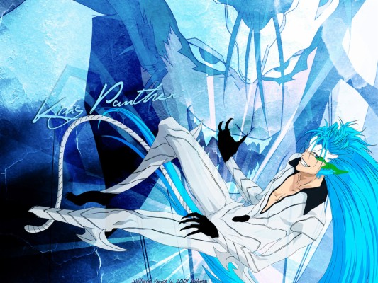 Bleach - Grimmjaw - Gallery - Bleach Espada Grimmjow - 1024x768 ...