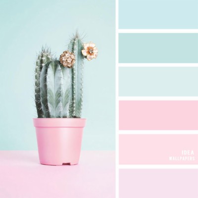 Pale Green And Grey Color Scheme 1000x1000 Wallpaper Teahub Io
