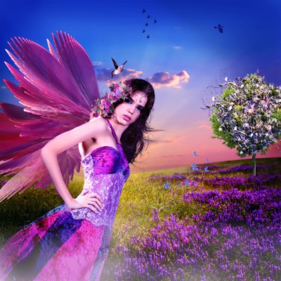 Fairy Butterfly - 1440x1280 Wallpaper - teahub.io