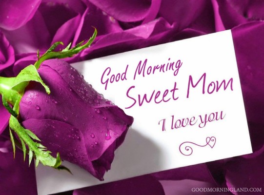 Good Morning Mother Quotes - 820x606 Wallpaper - teahub.io