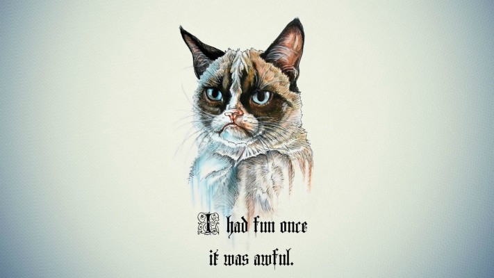 Funny / Quirky Wallpapers Data-src - Grumpy Cat Meme Art - 1920x1080 ...