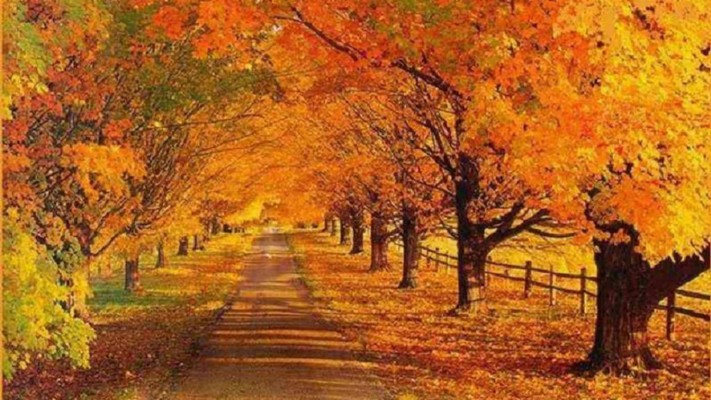 Fall Scenes For Desktop Background Landscape Fall Wallpaper - Fall ...