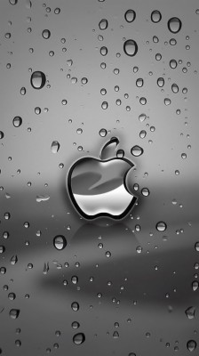 Iphone Wallpaper Hd Apple Logo - 2482x3508 Wallpaper 