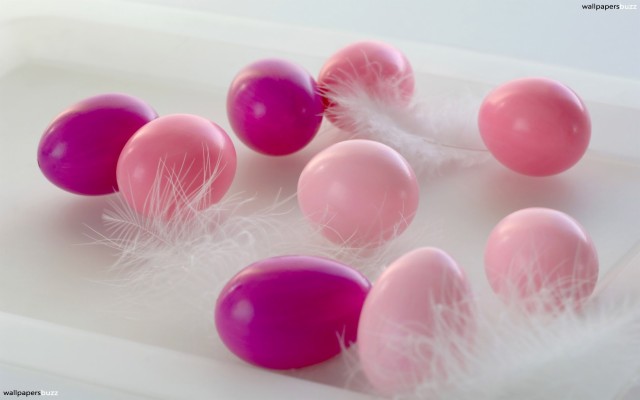 Top Easter Eggs In Fur With Pink Fur Wallpaper   Data-src - Hình Nền Gấu Bông Cho Máy Tính  - HD Wallpaper