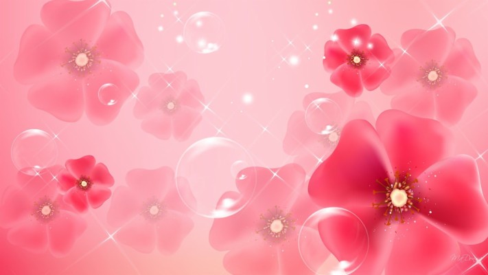 Download Pink Wallpapers and Backgrounds 