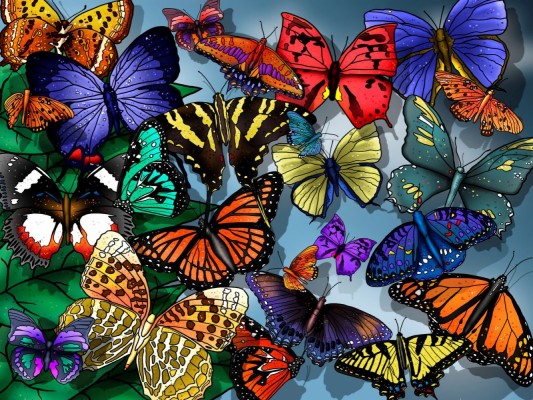 Download 3d Art 12 Wallpaper 3d Butterfly Wallpaper Hd 1600x1200 Wallpaper Teahub Io