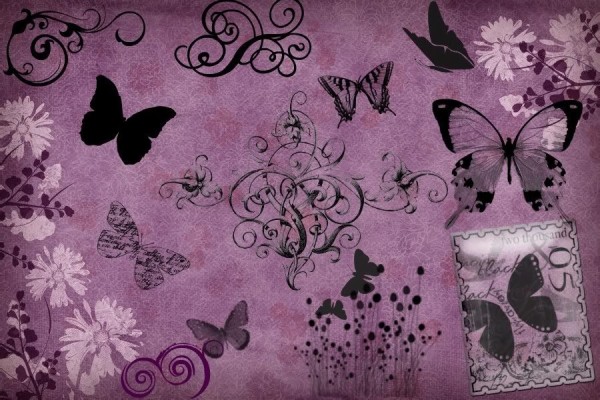 Download Butterfly Wallpapers and Backgrounds , Page 3 