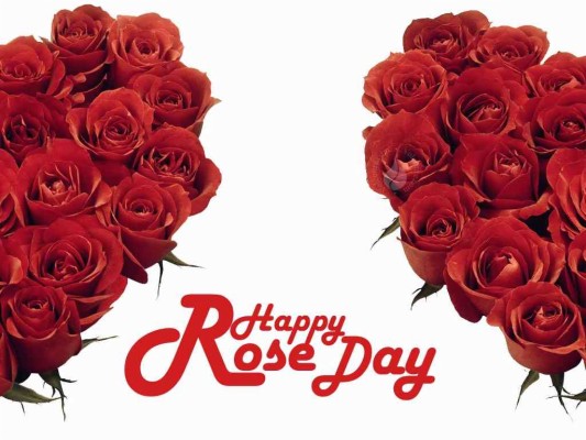 Happy Rose Day Wallpaper - Full Hd Happy Rose Day - 1024x768 Wallpaper - Happy Rose Day Wallpaper - Full Hd Happy Rose Day - 1024x768 Wallpaper -