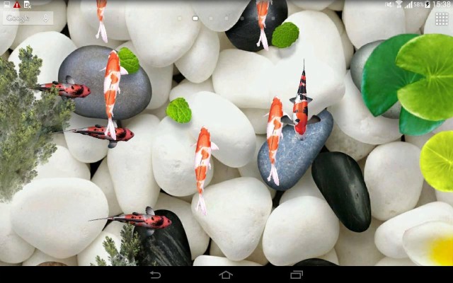 Download Koi Fish Live Wallpapers and Backgrounds 